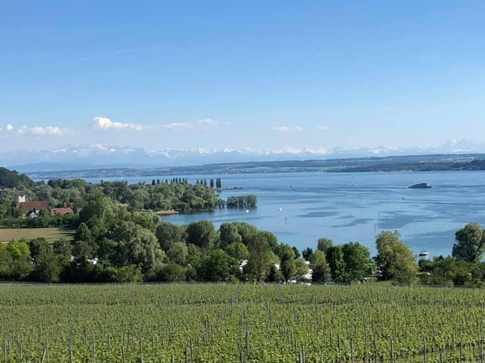 Ferienwohnung "Schmuckstueck Am Tor" Meersburg Kültér fotó